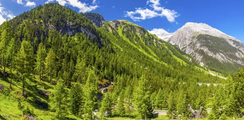 Photo sur Plexiglas Viaduc de Landwasser Albula pass with famous Rhaetian Rilway in Swiss Alps