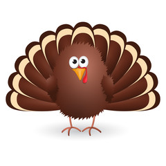 Cute cartoon Thanksgiving turkey isolated on white background. Vector illustration.