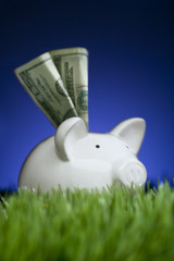 Piggy Bank Deposit