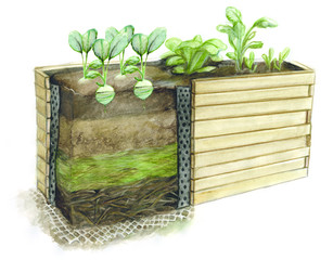 Cross section of a raised bed