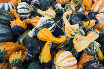 Decorative pumpkins