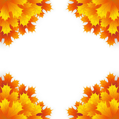 Autumn maple leaf on a white background