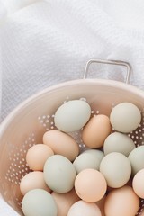 Fresh chicken eggs in basket
