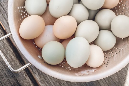 Fresh chicken eggs in basket