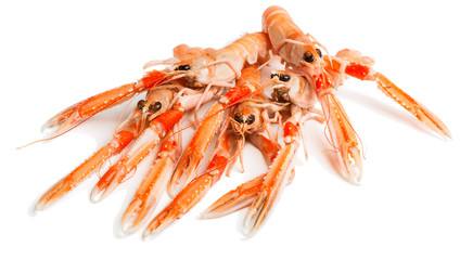 Raw langoustines, close-up. Nephrops L.