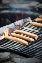 Hot Dog!