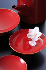 盃と桜