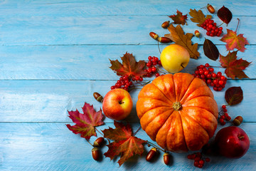 Pumpkin, apples, berries, acorns and fall leaves on blue backgro