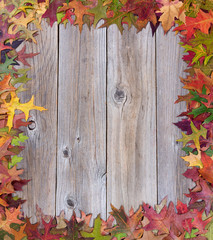 Naklejka na ściany i meble Early autumn leaves on rustic wooden boards