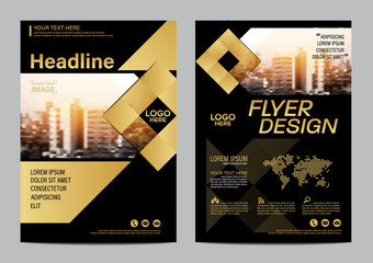 Gold Brochure Layout design template. Annual Report Flyer Leaflet cover Presentation Modern background. illustration vector in A4 size
