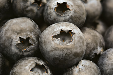 close up of fresh ripe blueberries background