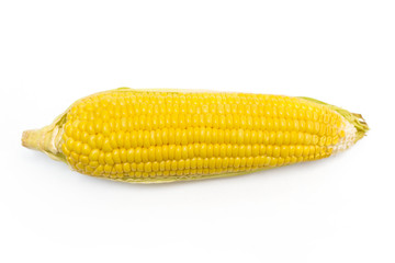 Ear of Corn isolated on a white background