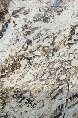 Cement surface stains