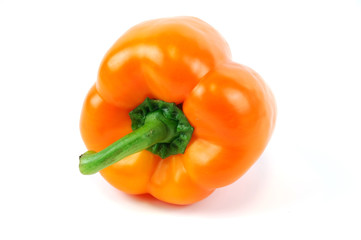 single pepper in orange color on white background