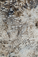 Cement surface stains
