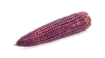 ripe purple corn on white background