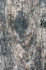 Old wood wall