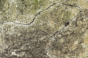 Wall with green stains