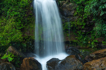 waterfall in the forest