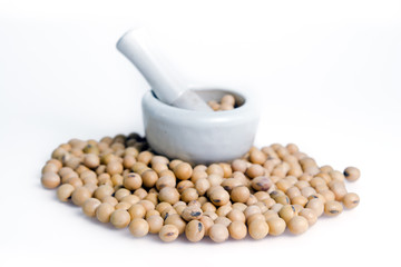 Soybean or soy bean isolated on white background