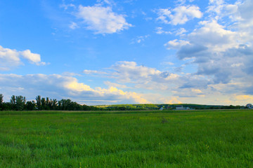Green meadow and blue sky