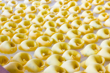 Tortelloni Bolognesi
