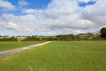summer bridleway