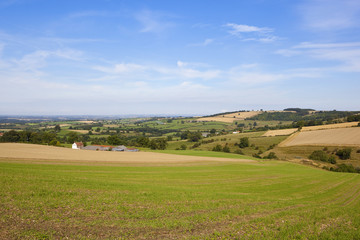 Fototapeta na wymiar farming landscape