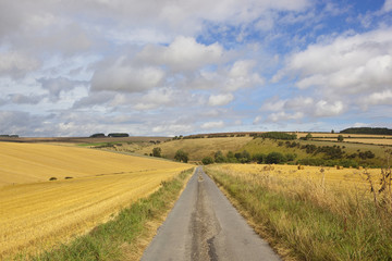 Obraz premium harvested fields with road