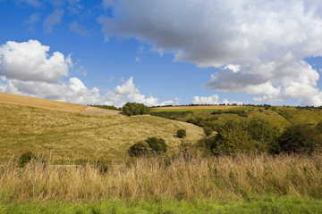 valley pastures