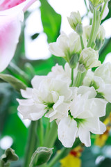 フラワーアレンジメント 