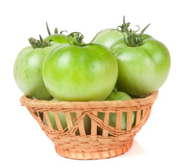 unripe green tomatoes in a wicker basket isolated on white background