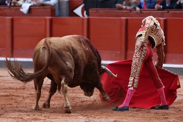 Crédence de cuisine en verre imprimé Tauromachie Torero y toro en la plaza