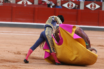 Torero y toro en la plaza