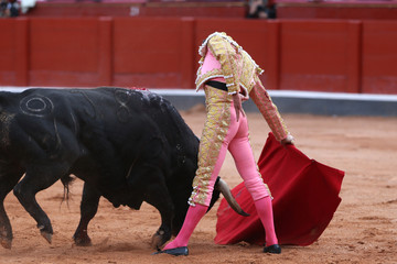Torero y toro en la plaza