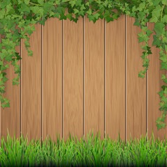 Grass and hanging ivy on old wooden planks background.