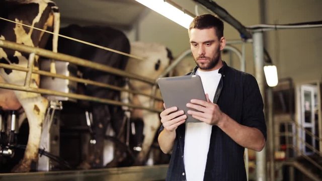 young man with tablet pc and cows on dairy farm