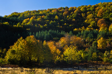 Autumn forest and meadows colors at rolling hills of Zeljin mountain, Serbia