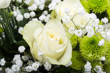Close up of white roses