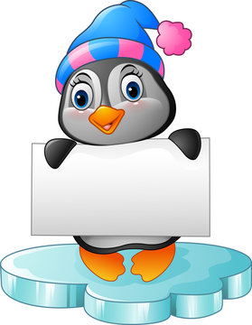 Cute little penguin holding blank sign