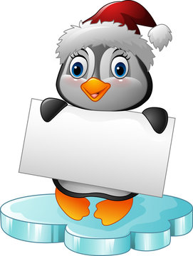 Cartoon little penguin holding blank sign