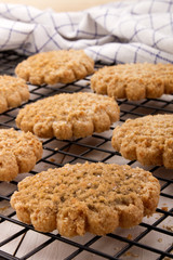 typically scottish oatmeal biscuit on a cooling rack