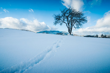 Way of footprints