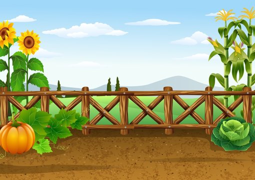 Farm background with various plant
