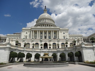 Obraz premium Capitol in Washington, DC 