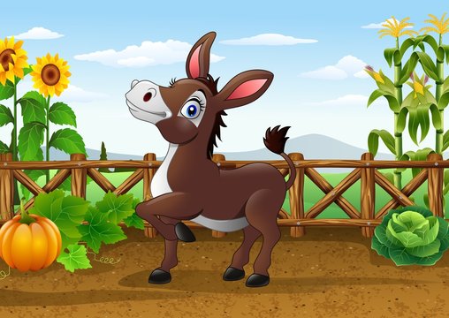 Cartoon happy donkey in the farm