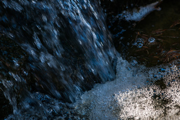 Forest stream waterfall