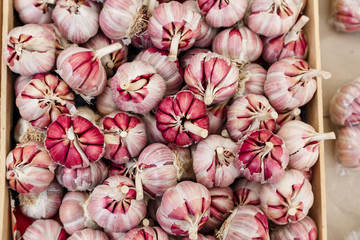 Garlic Bulbs For Sale