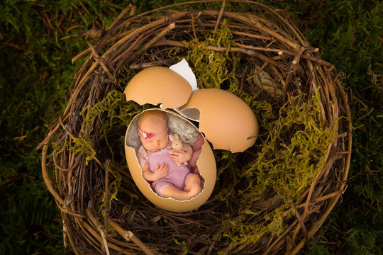 Newborn baby in bird's nest
