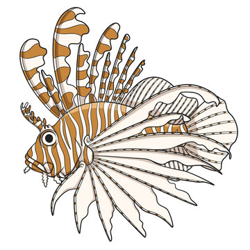 striped lionfish swimming white background clip art preview